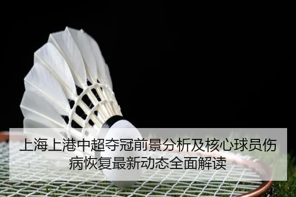 上海上港中超夺冠前景分析及核心球员伤病恢复最新动态全面解读